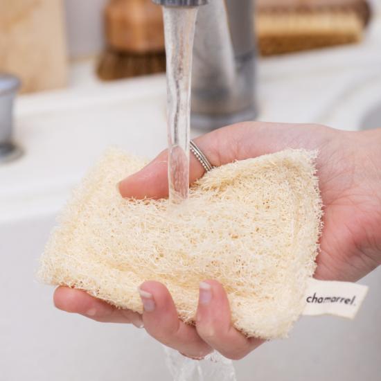 Plant-based sponge, loofah squash. Ideal for the kitchen. Does not scratch.