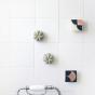 Box of 5 | Minimalist magnetic soap holders - Made in France
